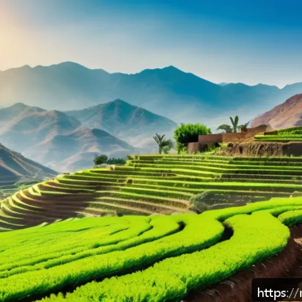 에리트레아 대통령 - A vibrant Eritrean agricultural scene showcasing local farmers in traditional attire working innovat...